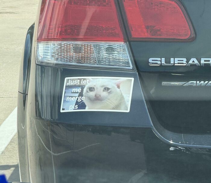 Sticker on a car bumper showing a crying cat meme with the witty phrase, illustrating clever humor in everyday situations.