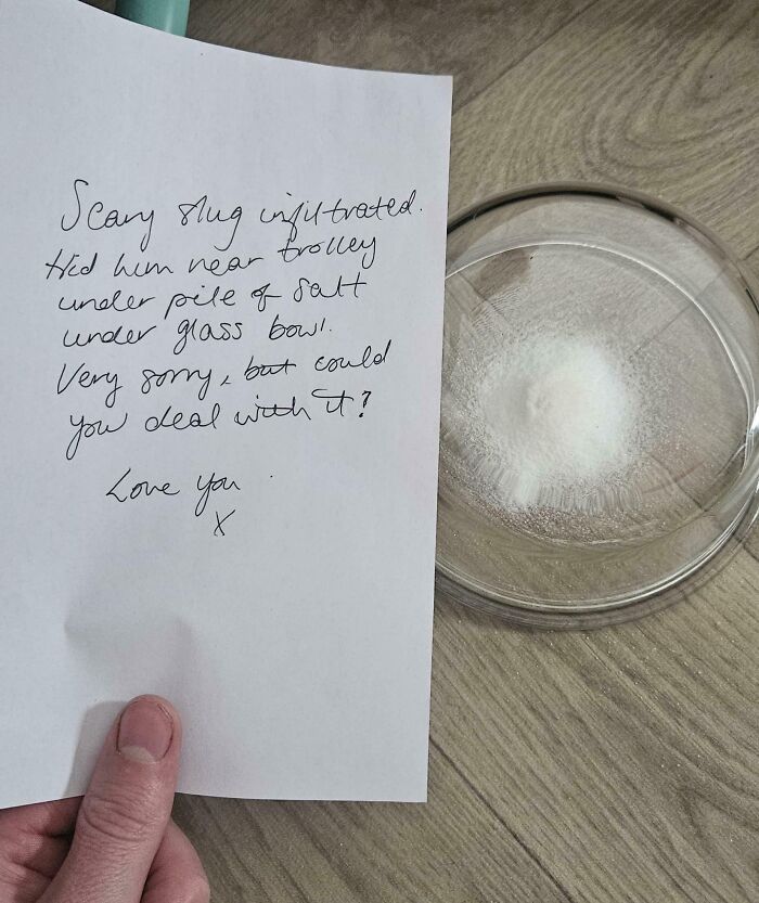 Handwritten witty note about a scared slug tied near a glass bowl with salt, showcasing clever humor and wit.