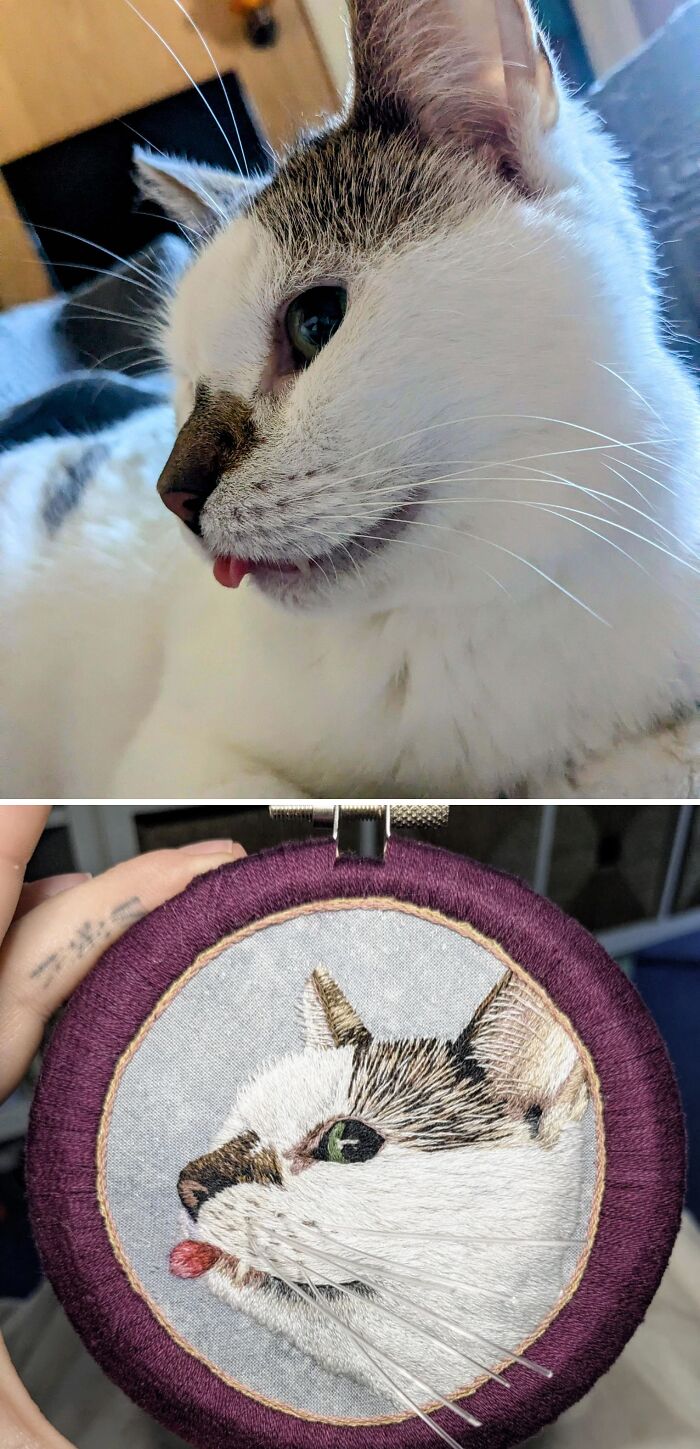 Close-up of a cat and an embroidery hoop showing incredible and beautiful embroidery skills of a cat portrait.