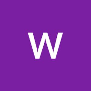 willemijnamerica_2 avatar