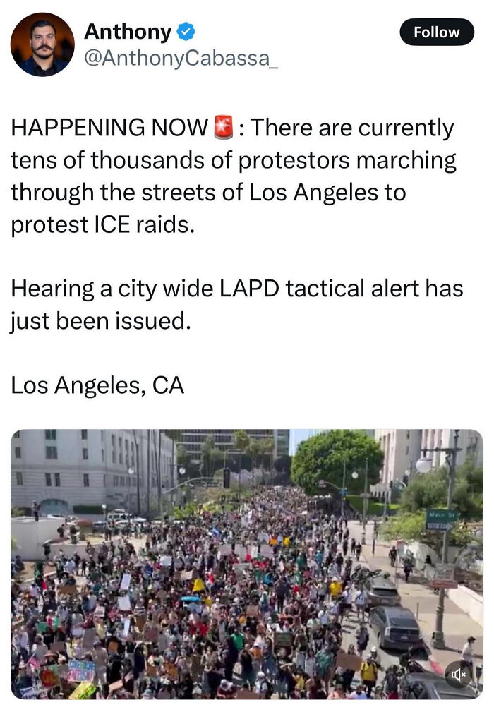 Large crowd of protestors marching through Los Angeles streets, demonstrating chaotic good actions in their own way.