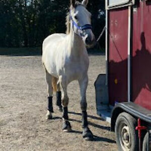 karenjohnson_6 avatar