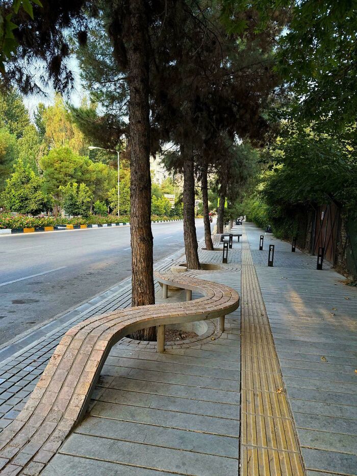 Curved bench design wrapping around trees on a city sidewalk, showcasing smart and cool designer innovation.
