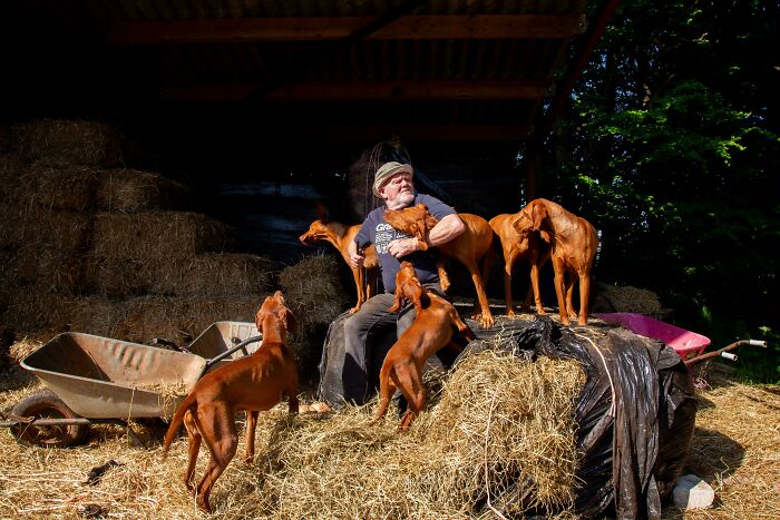 Man sitting among hay with multiple dogs in an accidental renaissance photo capturing a natural, timeless moment.