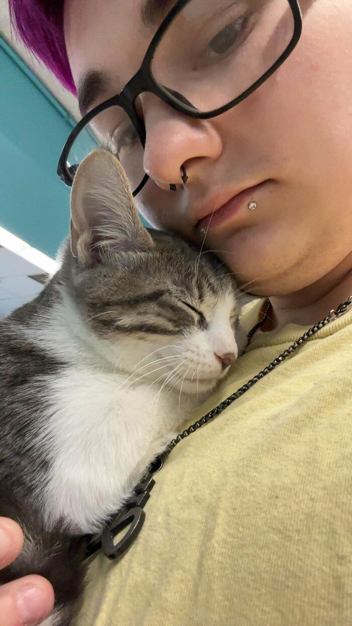 Person with glasses holding an adopted cat close, showing love and care to the adopted animal.