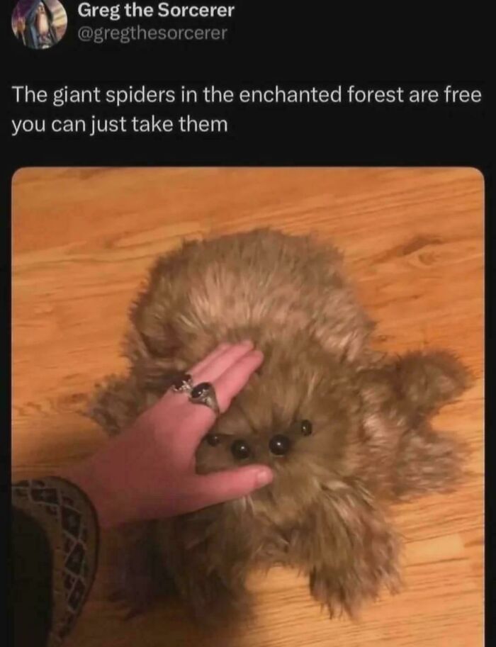 Fuffles The Pet Giant Spider Form The Enchanted Forest