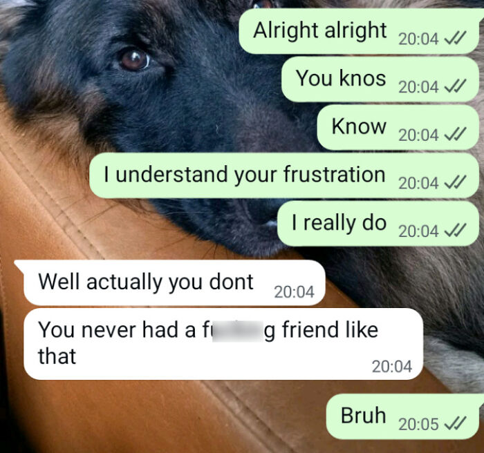 Chat messages with a dog resting on a couch, illustrating a conversation highlighting delusional behavior.