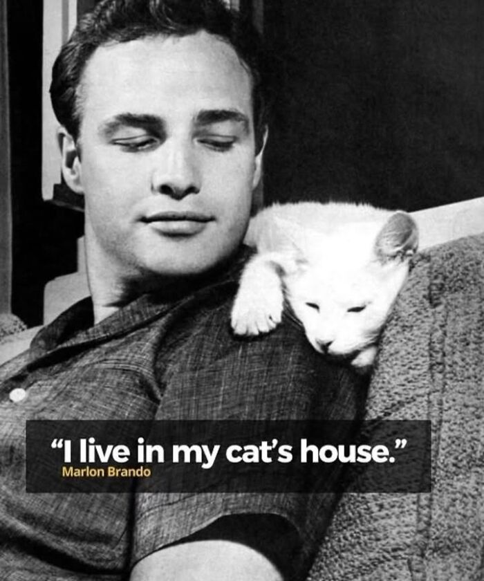 Black and white historical photo of a man with a cat on his shoulder, highlighting fascinating historical photos of pets.