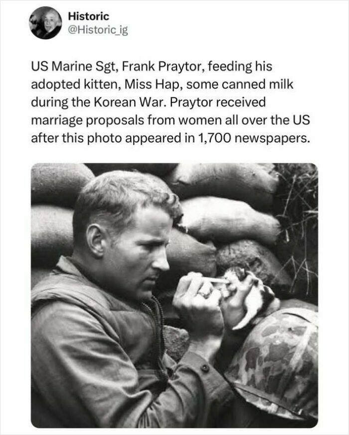 US Marine feeding adopted kitten with canned milk during Korean War in a historical photo of pets.