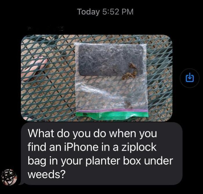 Creepy and unsettling moment showing an iPhone found hidden in a ziplock bag under weeds in a planter box.