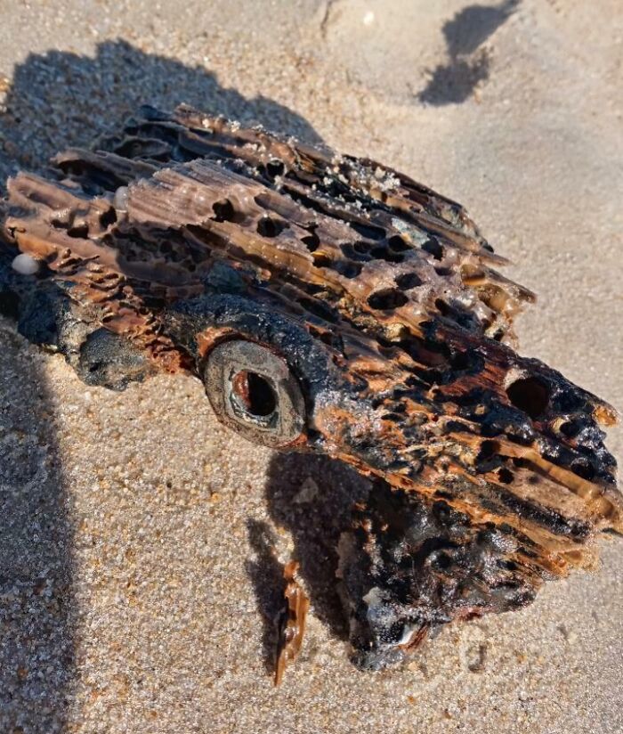 Decayed, hollow piece of driftwood with holes and a metal washer, found at the beach among sand and shadows.