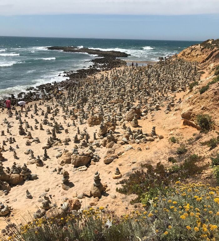 Beach covered with dozens of balanced stone stacks and wildflowers along the coast, a bizarre find at the beach.