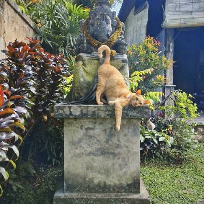 Cat stretching on a stone statue in a garden, resembling a captured Renaissance masterpiece moment.