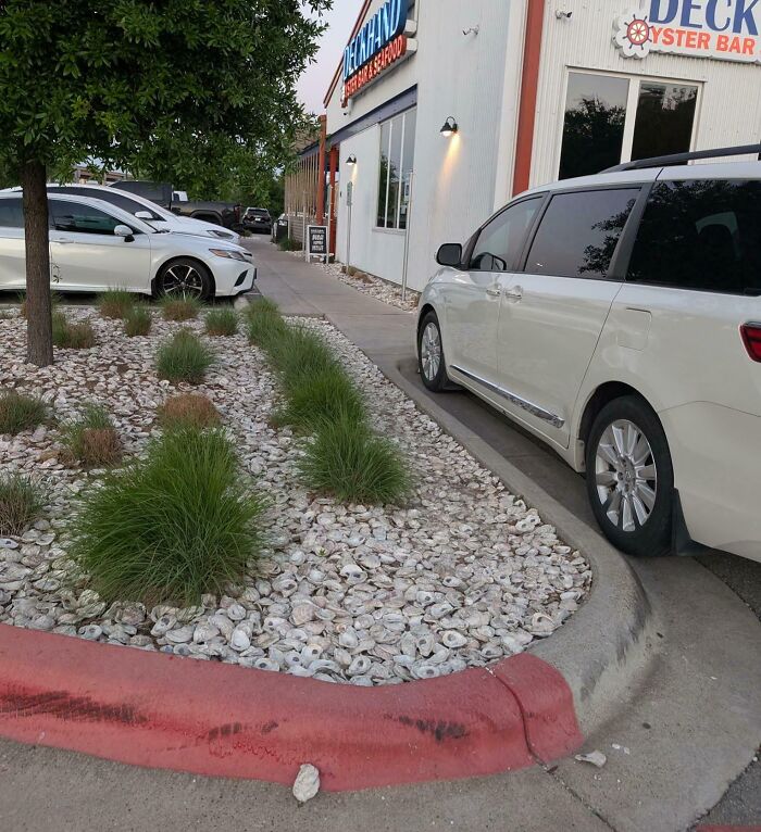 Outdoor area of a creative bar and restaurant with shell-covered landscaping and parked cars in front of the oyster bar.