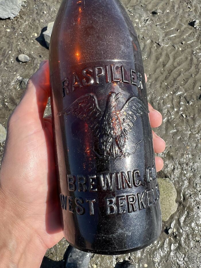 Hand holding a vintage Raspiller Brewing Co. bottle found at the beach among interesting and bizarre things.