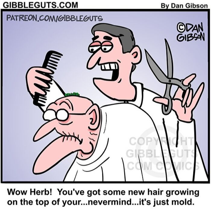 Cartoon from Gibbleguts Seniors Villa shows humor of getting older with a man’s mold mistaken for new hair growth.