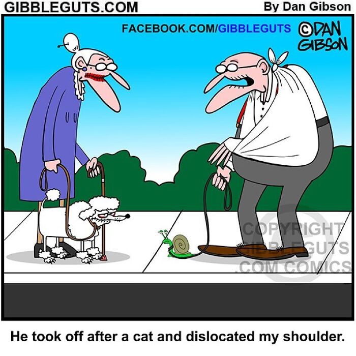 Two elderly characters humorously portrayed walking unusual pets in a comic from Gibbleguts Seniors Villa.