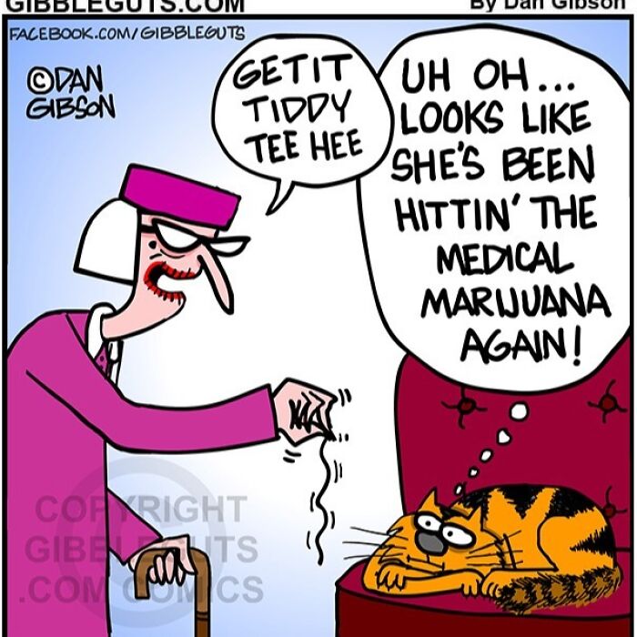 Cartoon from Gibbleguts Seniors Villa showing humorous senior and cat with m*******a joke.