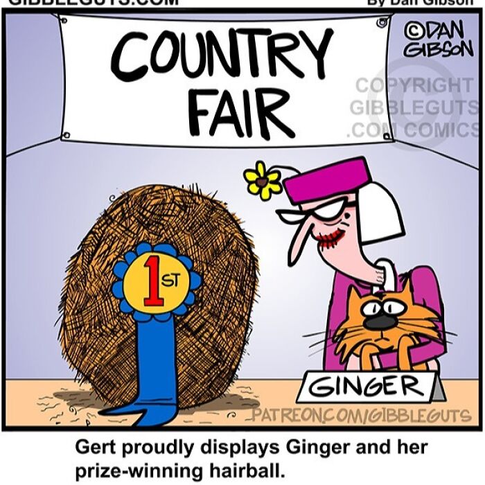 Cartoon from Gibbleguts Seniors Villa showing humor of getting older with prize-winning hairball at a country fair.