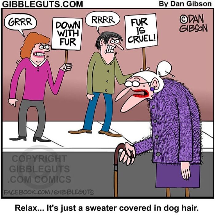 Two seniors protesting fur while an elderly woman wears a furry sweater, capturing humor of getting older in Gibbleguts comics.
