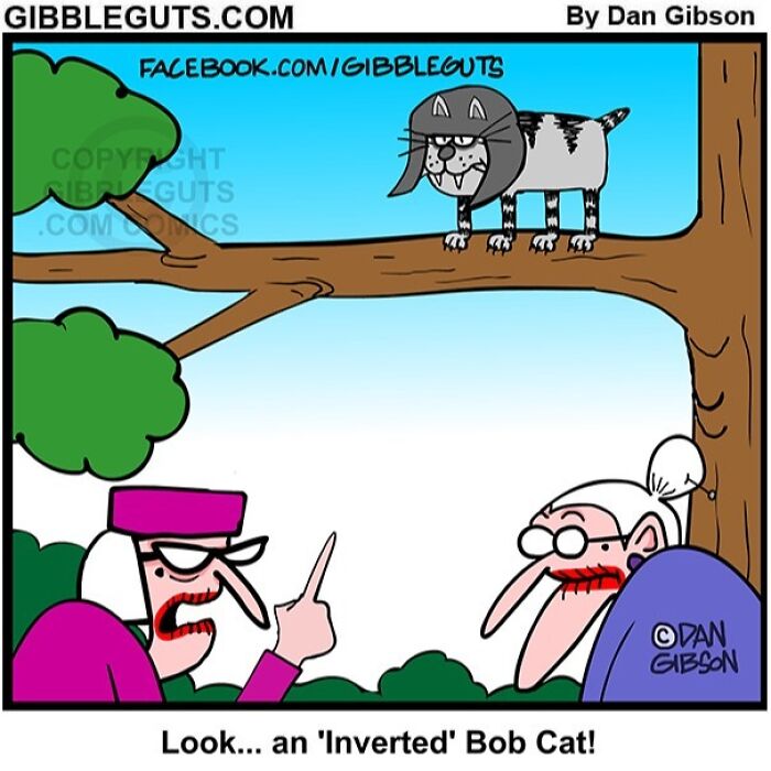 Cartoon from Gibbleguts Seniors Villa showing two elderly women spotting a cat wearing a helmet on a tree branch.