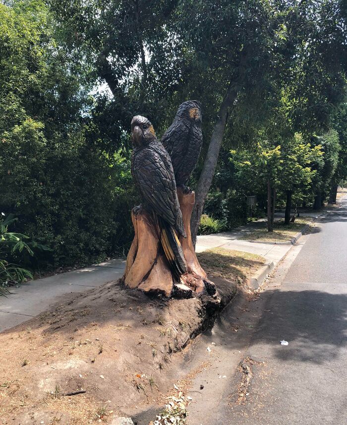 Wooden carvings of two large parrots on a tree stump along a street, surrounded by green trees and sidewalk, wholesome kind neighbors.