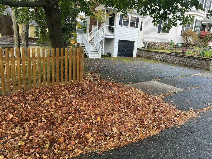 Pile of fallen leaves blocking driveway and sidewalk outside residential house, showing selfish people lost decency impact.