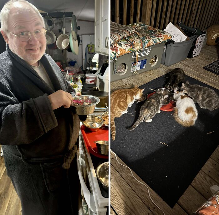 Man in robe preparing food in kitchen and cats eating outside on porch, showing wholesome kind neighbors care.