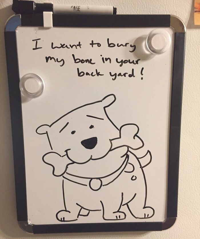 Whiteboard with a funny dog drawing and a humorous note, showcasing random notes and signs that remind us not to take life seriously.