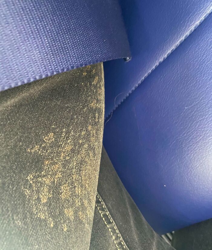 Stained black pants squeezed tightly by a blue seatbelt on a blue leather seat illustrating selfish people making life harder.