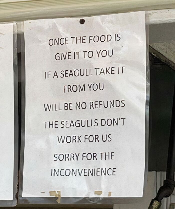 Funny random note about no refunds if seagulls steal your food, reminding us not to take life too seriously.