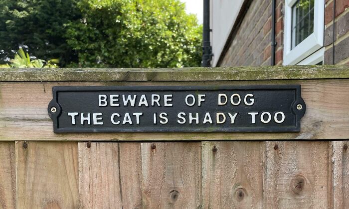 Funny random sign on a wooden fence warning to beware of dog and that the cat is shady too, capturing humor in signs.