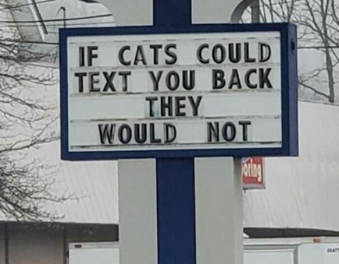 Humorous sign saying if cats could text you back they would not, highlighting random notes that lighten life.