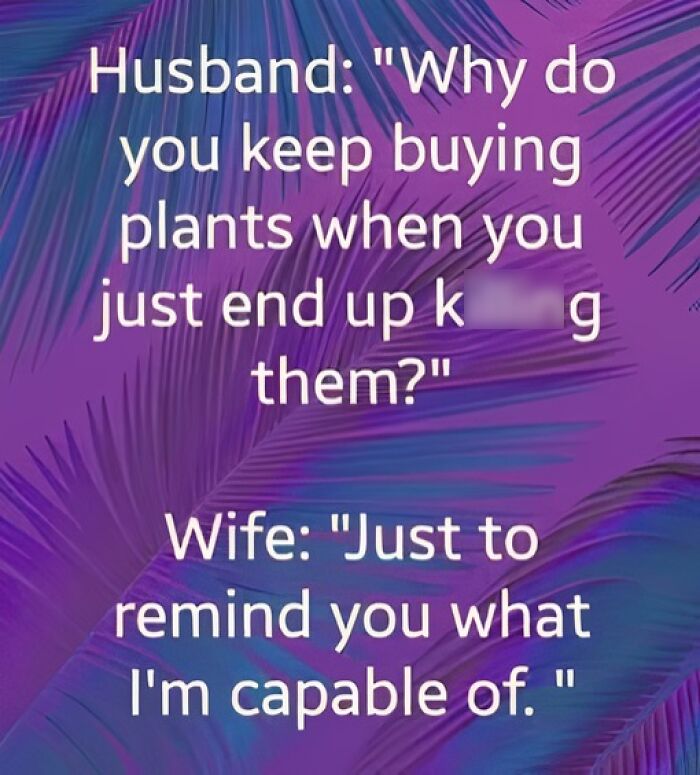 Funny and chaotic marriage meme showing a husband questioning plant buying and wife’s witty response on a purple background.