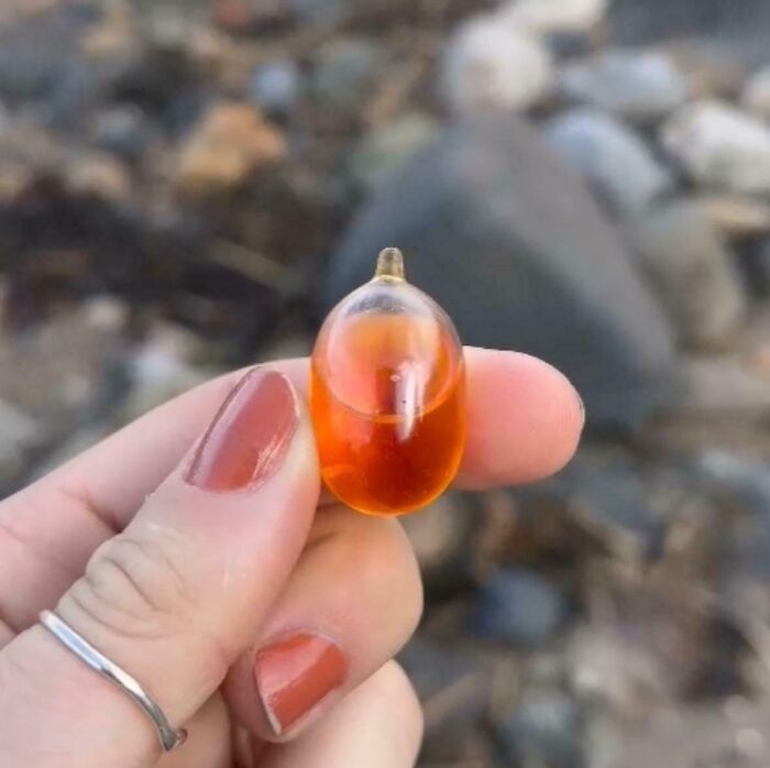 Person holding a small orange translucent object found at the beach, showcasing interesting and bizarre beach discoveries.