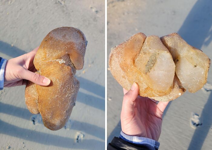 Hand holding a large, bizarre rock found at the beach, showing its unusual shape and crystal-like interior.