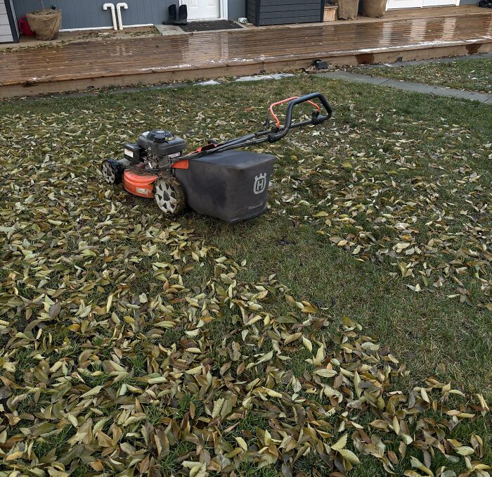 Lawn mower clearing fallen leaves on grass, demonstrating a genius life hack for easy yard cleanup.