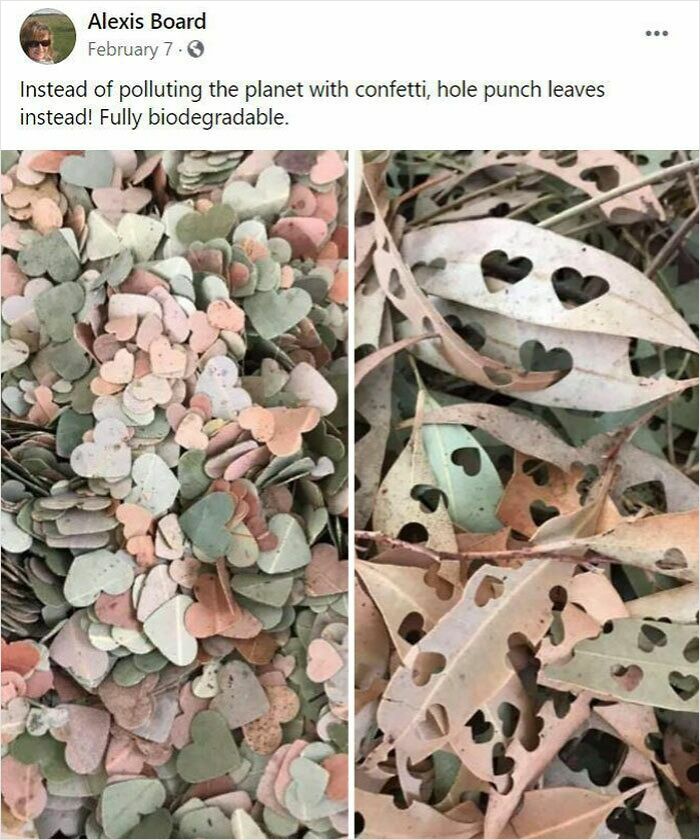 Heart-shaped leaves used as biodegradable confetti, showcasing a genius life hack for eco-friendly celebrations.