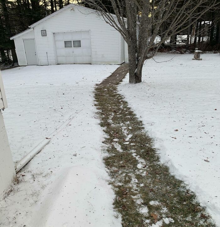 Snowy yard with a cleared grass path leading to a white garage, illustrating genius life hacks people actually use.