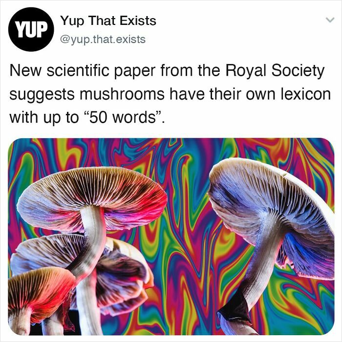 Colorful mushrooms with unique features illustrating weird things that sound made up but are very real.