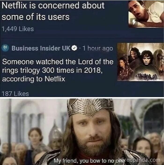 Screenshot highlighting a Netflix fact about Lord of the Rings trilogy views paired with a meme of Aragorn bowing.
