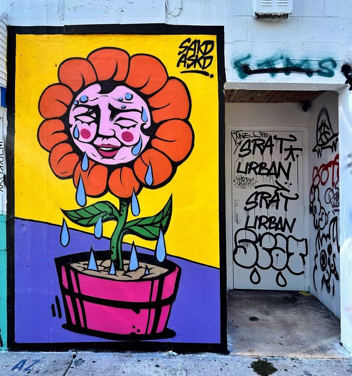 Mural by Colombian artist SakoAsko showing a crying flower blending fantasy and reality with bold colors.
