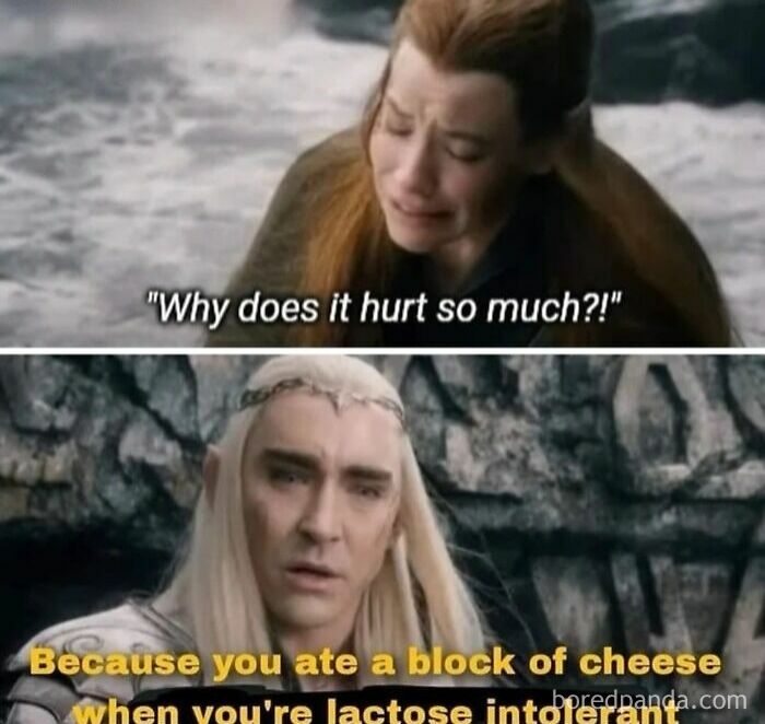 Two characters from Lord of the Rings in a meme about lactose intolerance and pain, referencing Lord of the Rings memes.