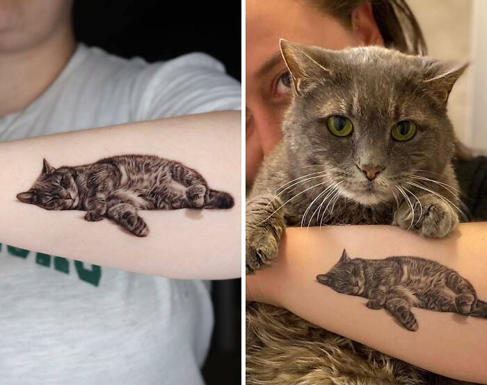 Realistic pet tattoo of a sleeping cat on a forearm next to the live gray cat, showcasing detailed pet tattoos by Yeono.