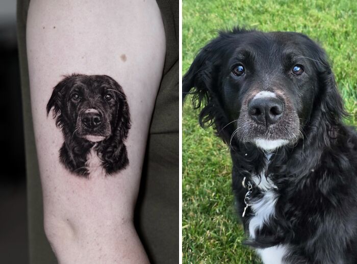 Realistic pet tattoo of a black dog on forearm, showcasing detailed fur and lifelike expression in black and gray ink.