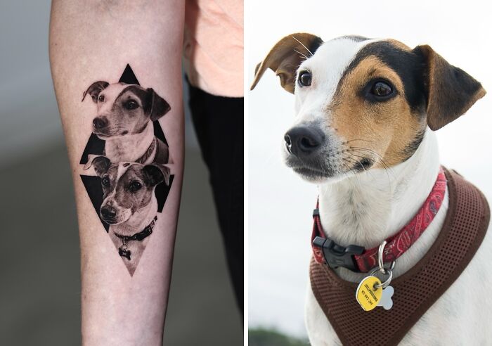 Realistic pet tattoo of a dog on a forearm, showcasing detailed black and gray shading and lifelike features.