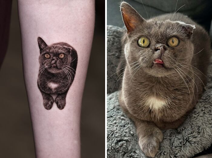 Realistic pet tattoo of gray cat on forearm next to the photo of the same cat with yellow eyes and white chest fur.