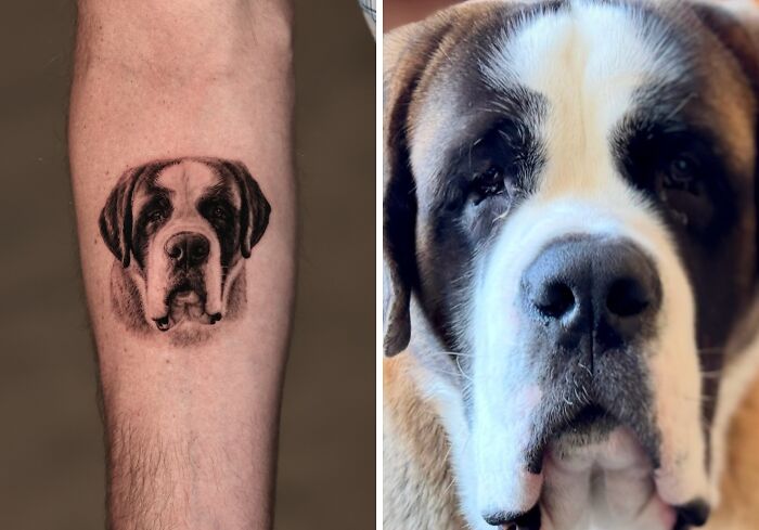Realistic pet tattoo of a St. Bernard dog on a forearm showing detailed black and white ink work by Yeono.