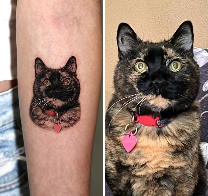 Realistic pet tattoo of a tortoiseshell cat with a red collar and heart-shaped tag on a person's forearm.