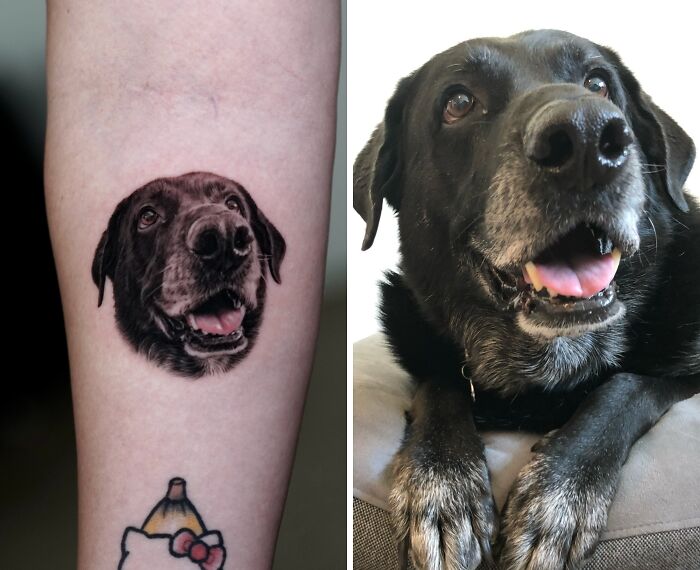 Realistic pet tattoo of a black dog on forearm next to the photograph of the same dog with a happy expression.